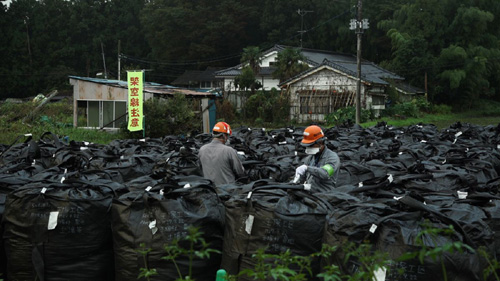 Le cinéma face à l'urgence écologique