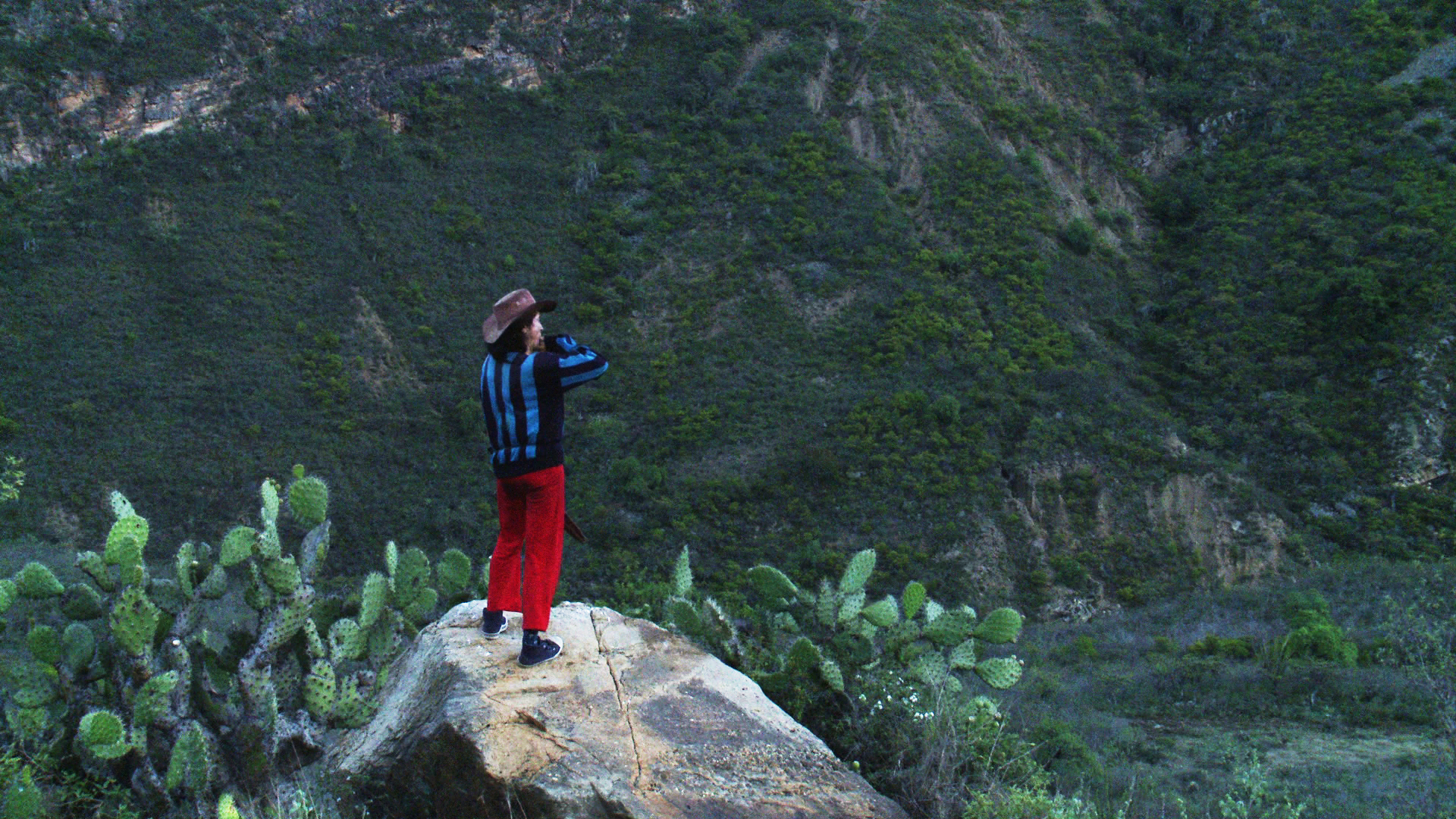 Les projections à venir du VOA