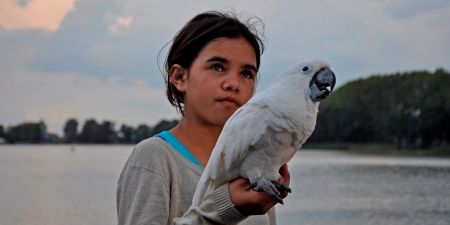 Couverture du film Above us all