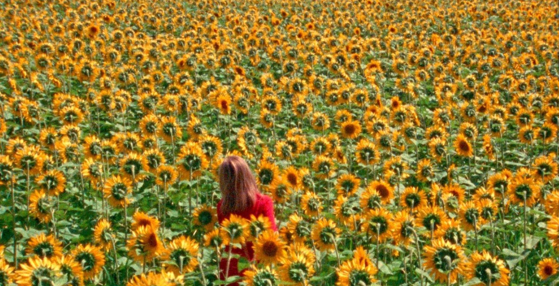Couverture du film Alice et les soleils