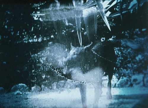 Couverture du film Archipels Nitrate