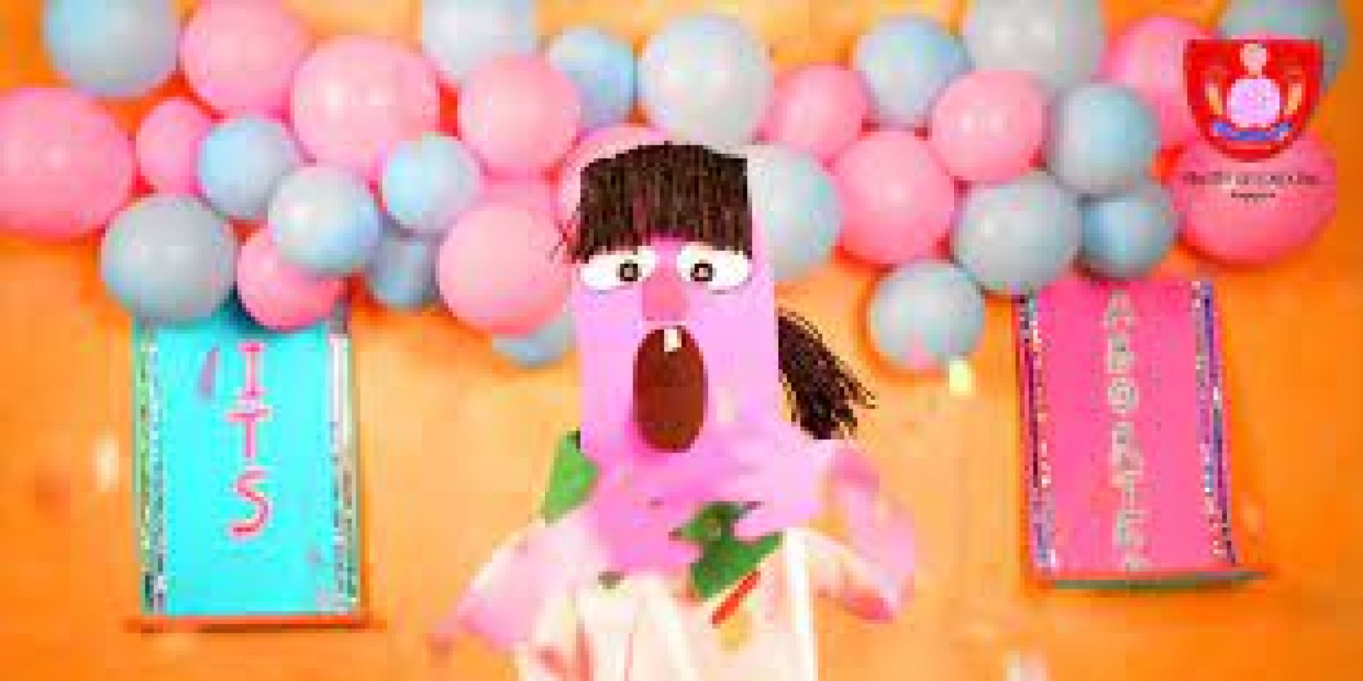 Couverture du film Boerke Bad Hair Day