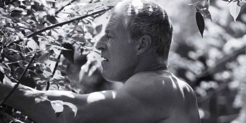 Couverture du film Carapace