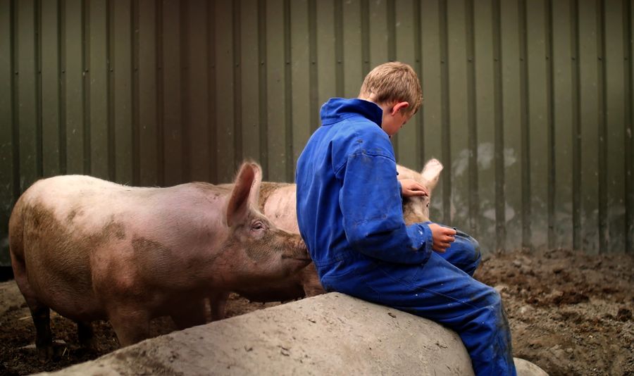 Couverture du film Ceres