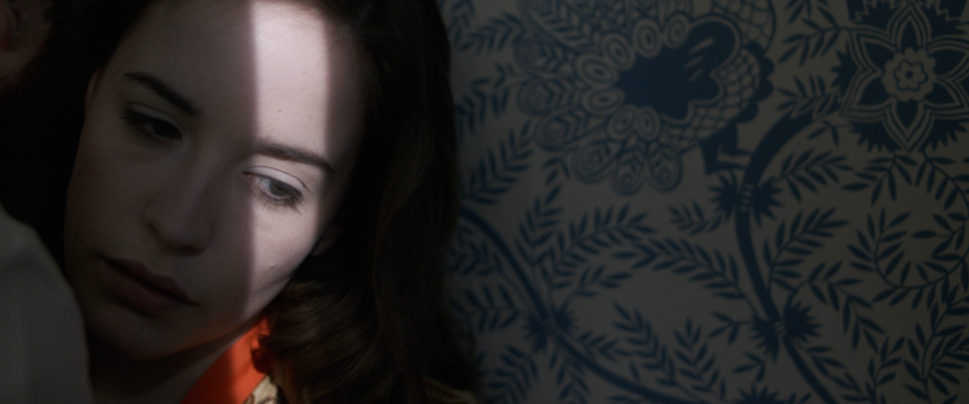 Couverture du film La chambre aux oiseaux