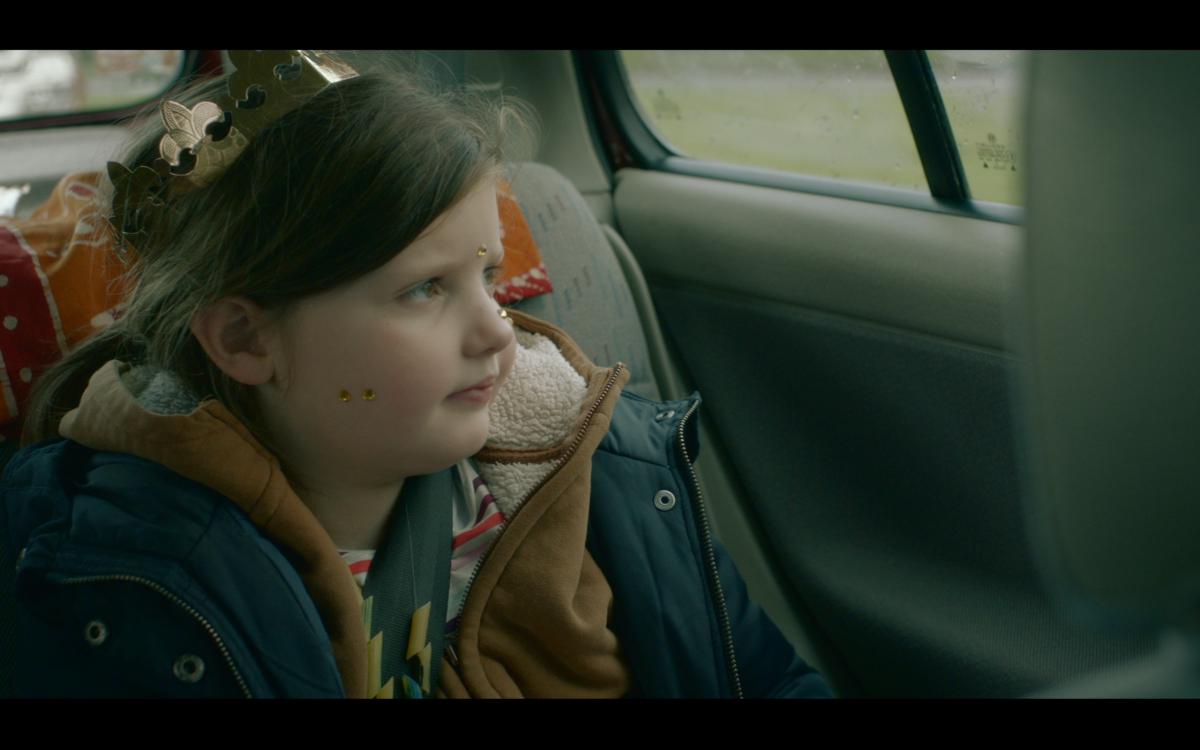 Couverture du film Les dauphines