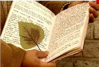 Couverture du film De Bouche à oreille