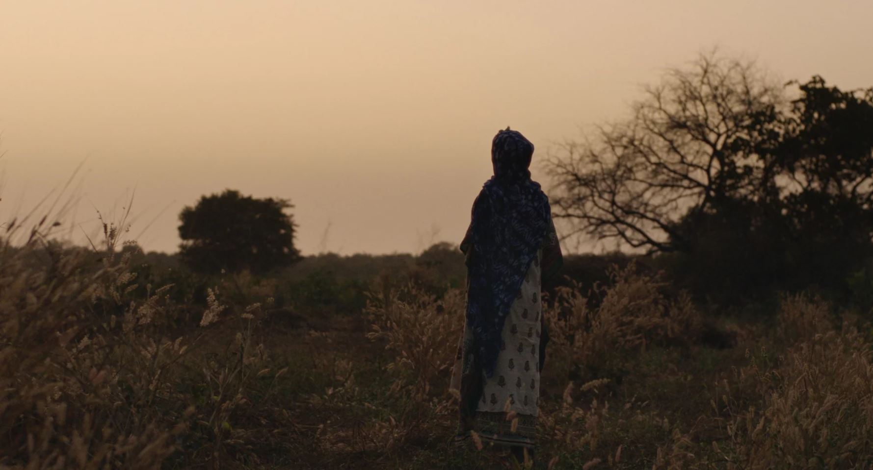 Couverture du film La Dernière Rive