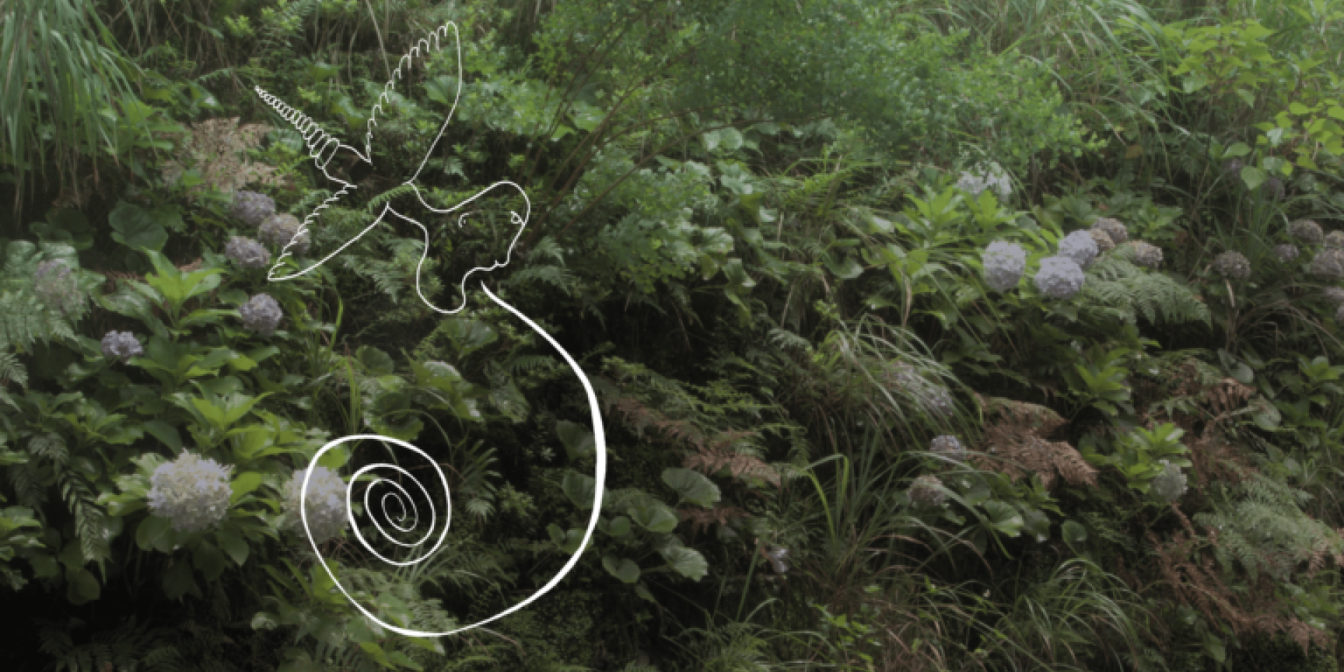 Couverture du film Do You Hear the Wind in the Pine Trees?