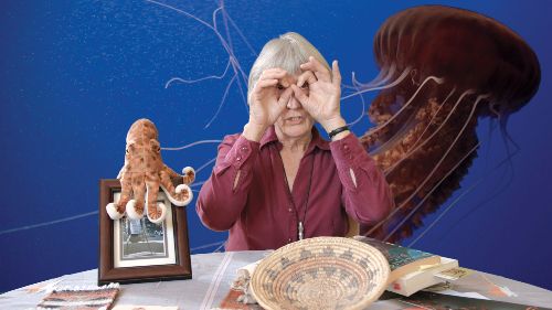 Couverture du film Donna Haraway: Story Telling for Earthly Survival