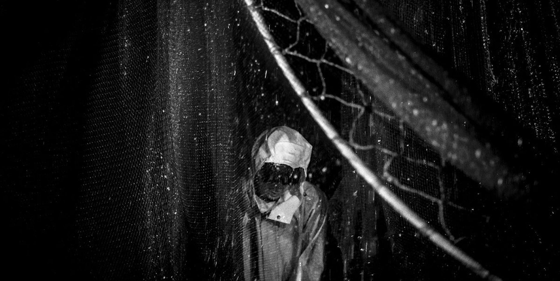 Couverture du film Dremmwel