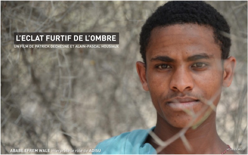 L'Eclat furtif de l'ombre