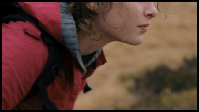 Couverture du film Eisbär