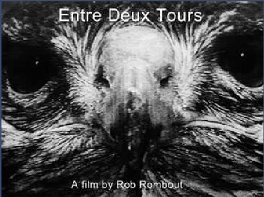 Couverture du film Entre deux tours