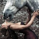 Couverture du film Equinoctis