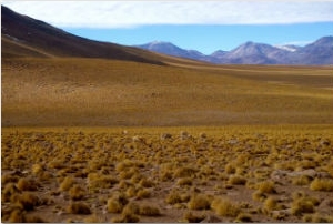 Couverture du film Les Fantômes de Victoria