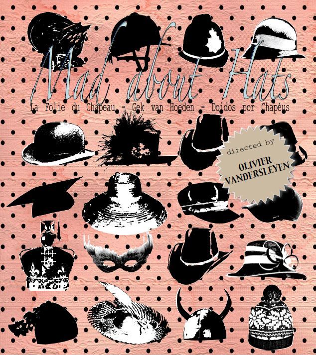 Couverture du film La Folie du Chapeau