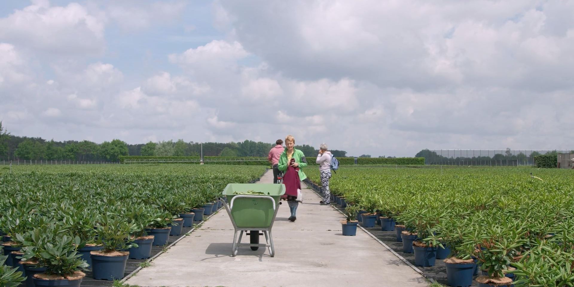 Couverture du film From Moerbeke with love