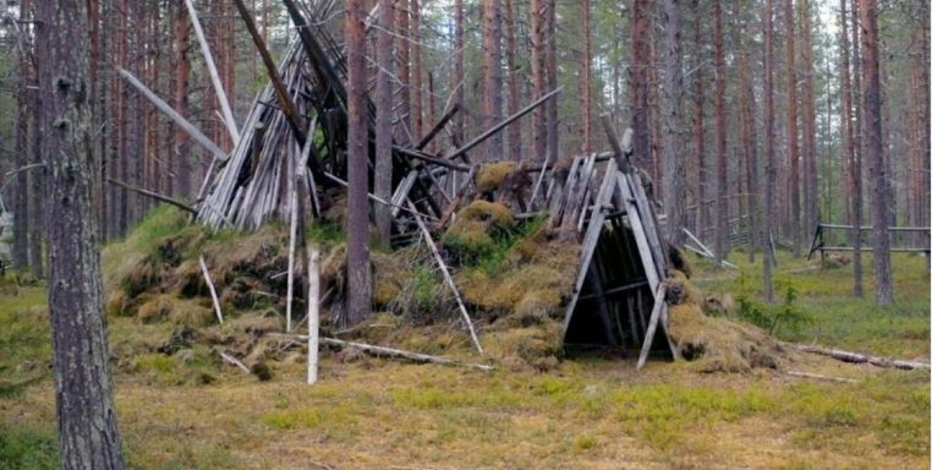 Couverture du film Gaïaland, la tribu et le gourou
