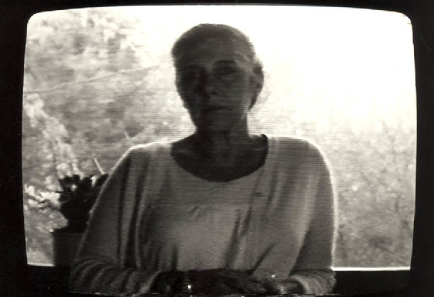 Couverture du film Galerie de portraits