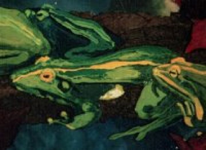 Couverture du film Les Grenouilles