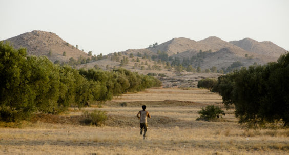 Couverture du film Harka