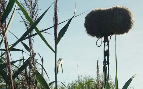 Couverture du film In a Silent Way