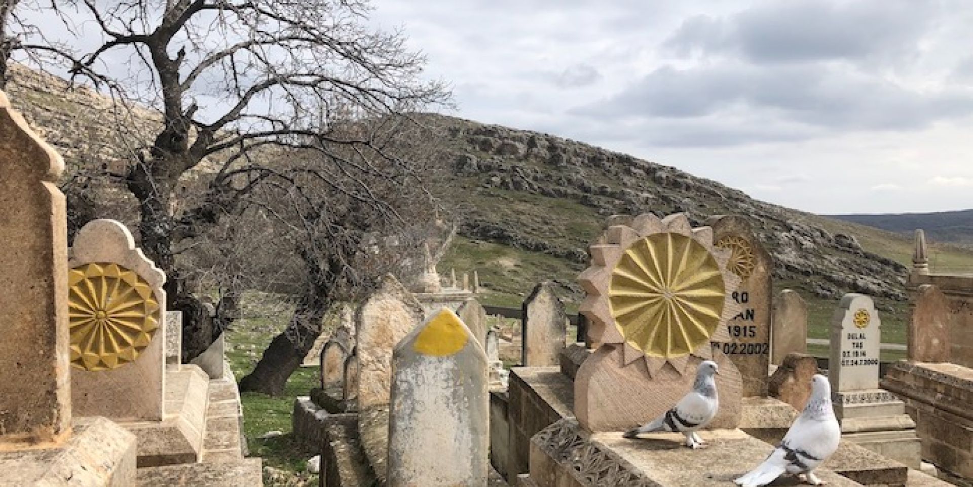 Couverture du film Inner Lines