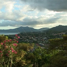 Couverture du film Ivresse d'une oasis