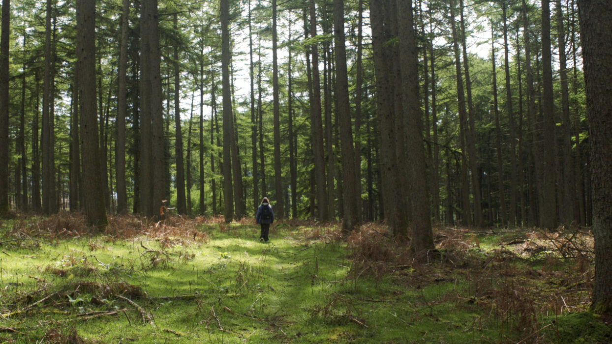 Je ne suis qu'un corps