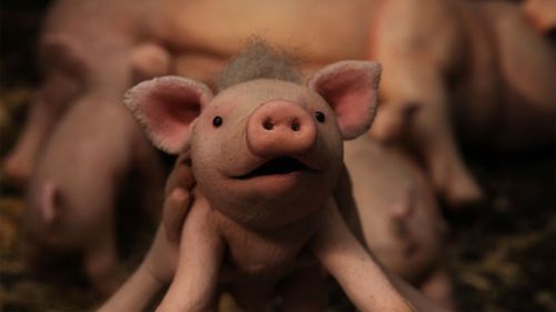 Couverture du film Un amour de cochon