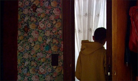 Couverture du film Kosmos