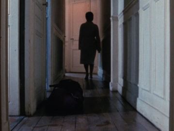 Couverture du film L'homme à la valise