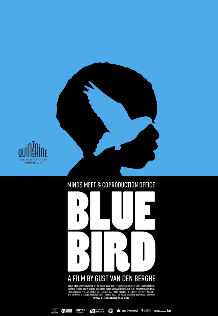 Couverture du film L'oiseau bleu
