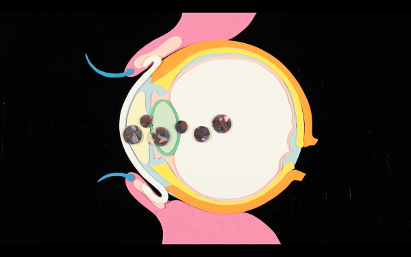 Couverture du film La Larme à l'oeil