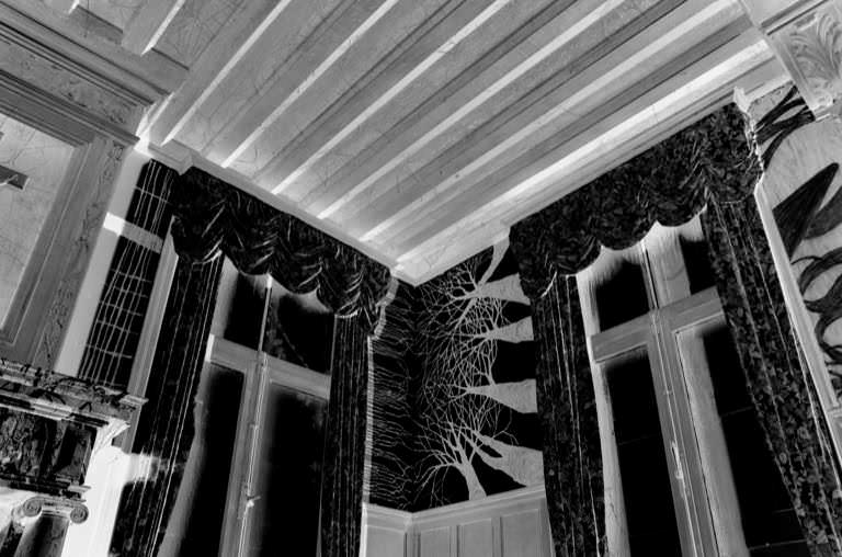 Couverture du film Ma Reine