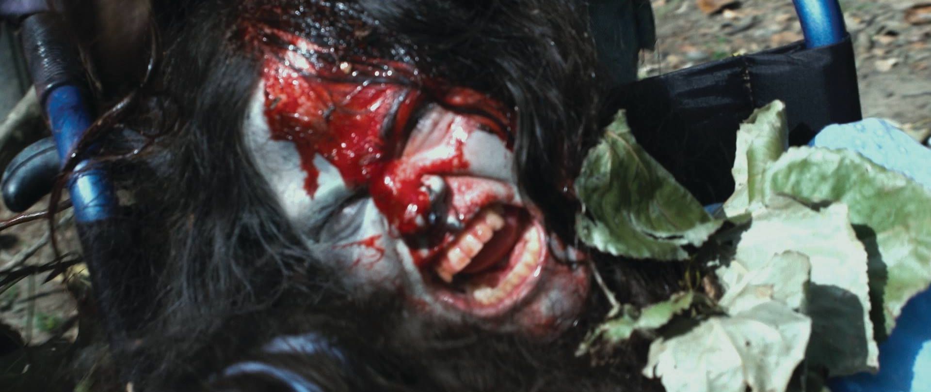 Couverture du film La mariée et les morts-vivants