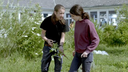 Couverture du film La Mauvaise herbe