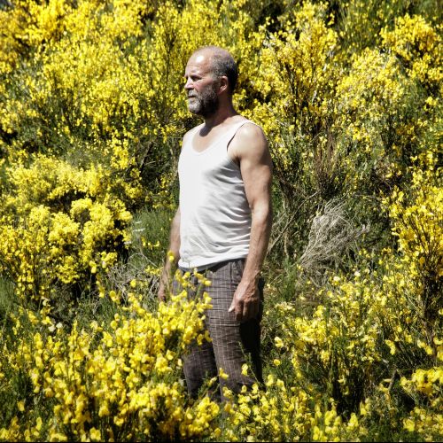 Couverture du film Meander