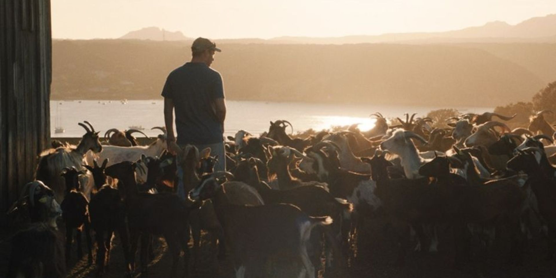 Couverture du film Le Mohican