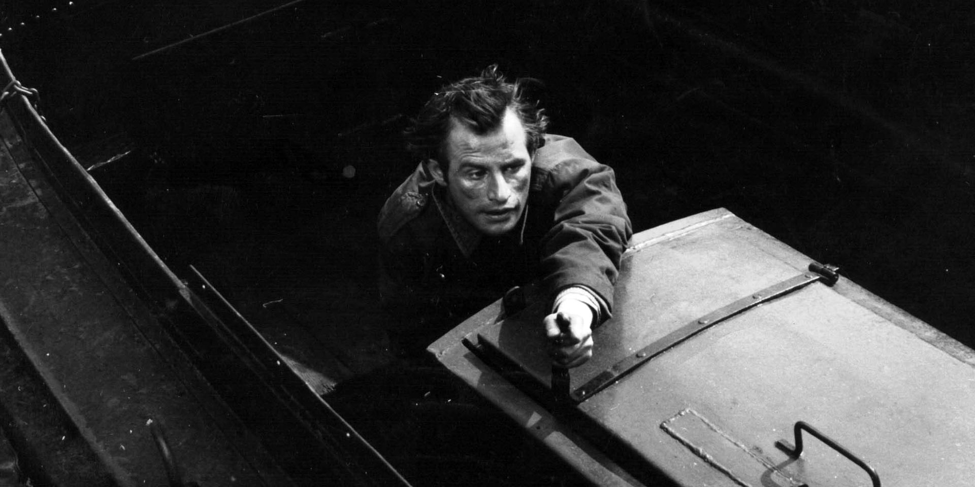 Les Mouettes meurent au port