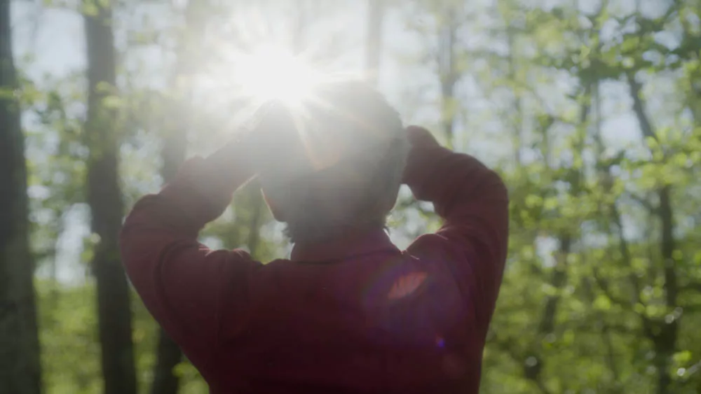 Couverture du film Le Mythe de l'abandon