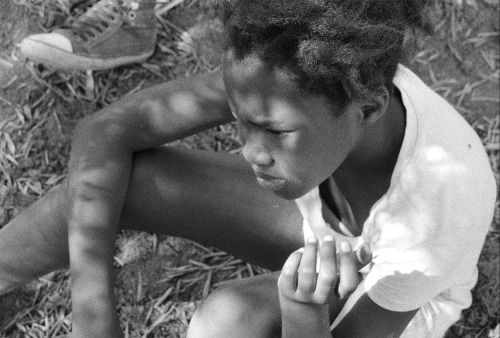 Notre territoire de Mathieu Volpe