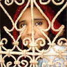 Couverture du film Où est l'amour dans la palmeraie ?