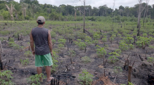 Couverture du film Les oubliés de l'Amazonie