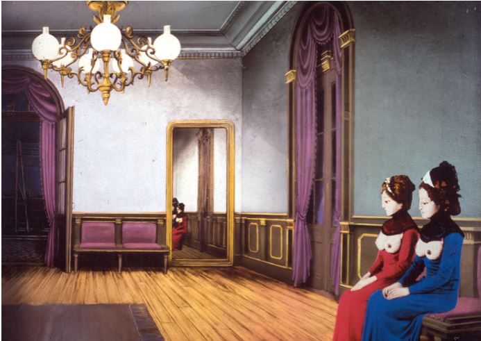 Papillons de nuit - Animation