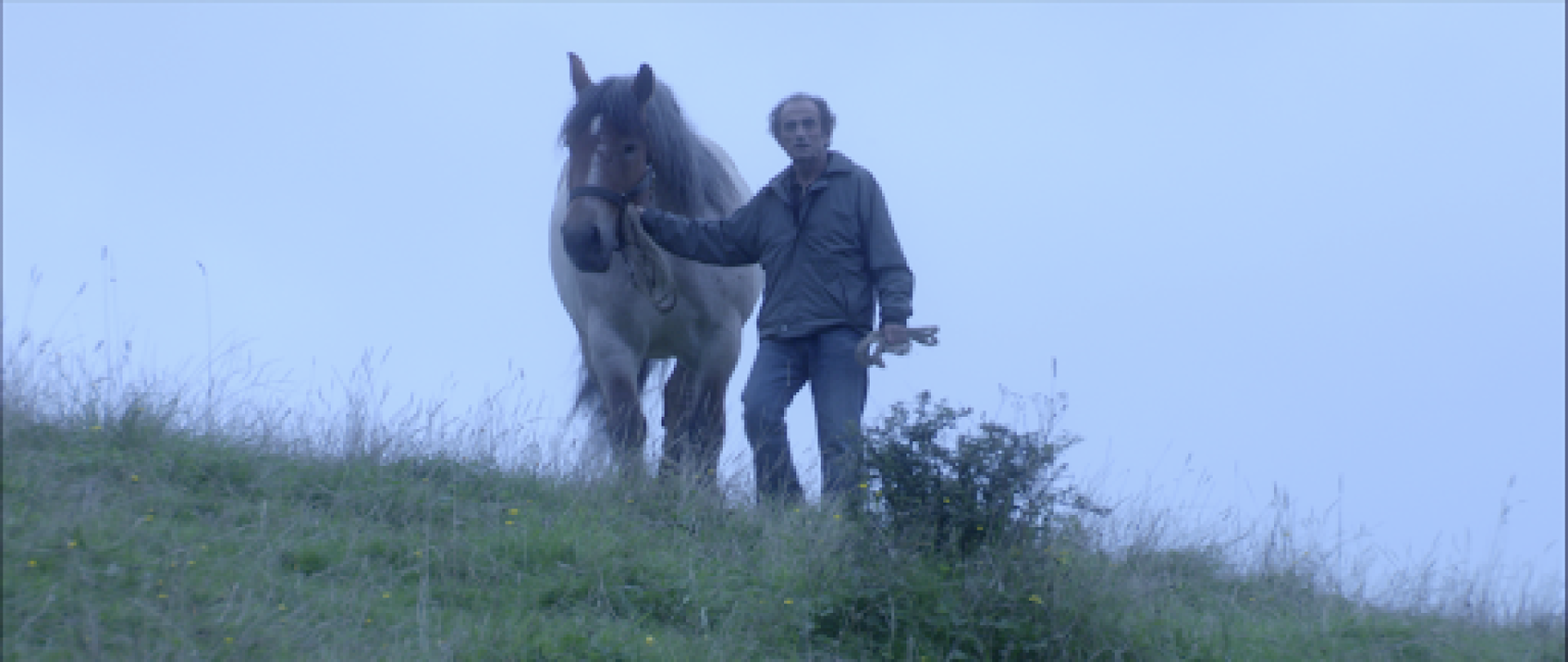 Couverture du film Pom le poulain