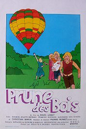 DVD du film Prune des bois/Booskaatje