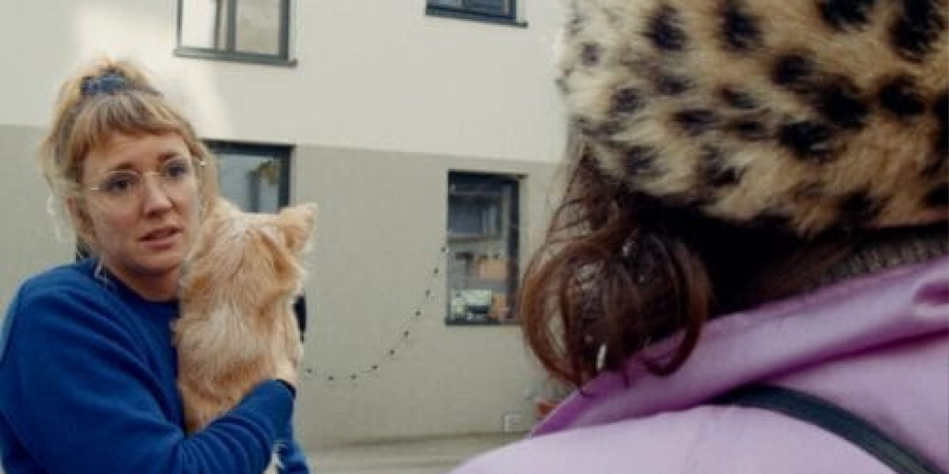 Couverture du film Pupuce