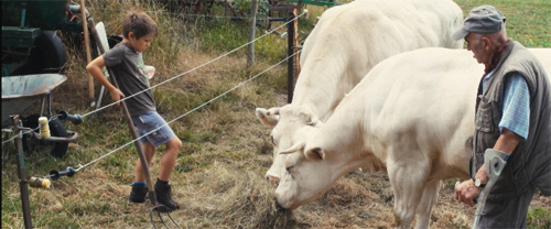 Couverture du film Quand les hirondelles s'en vont